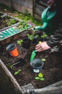 Composteira doméstica transformando resíduos em adubo orgânico para horta